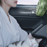 Car-mounted electric fan